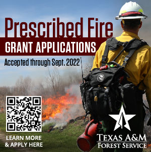 Texas A&M Forest Service is accepting applications for grants to help eligible Texas property owners with the cost of prescribed burning on their land.